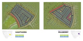HAWTHORN
R2-EMS (PLOT)
R2-EES (PLOT)
R2-EMS (PLOT)
MULBERRY
R2-EES (PLOT)
 