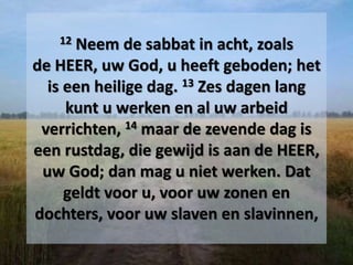 12 Neem de sabbat in acht, zoals
de HEER, uw God, u heeft geboden; het
is een heilige dag. 13 Zes dagen lang
kunt u werken en al uw arbeid
verrichten, 14 maar de zevende dag is
een rustdag, die gewijd is aan de HEER,
uw God; dan mag u niet werken. Dat
geldt voor u, voor uw zonen en
dochters, voor uw slaven en slavinnen,
 
