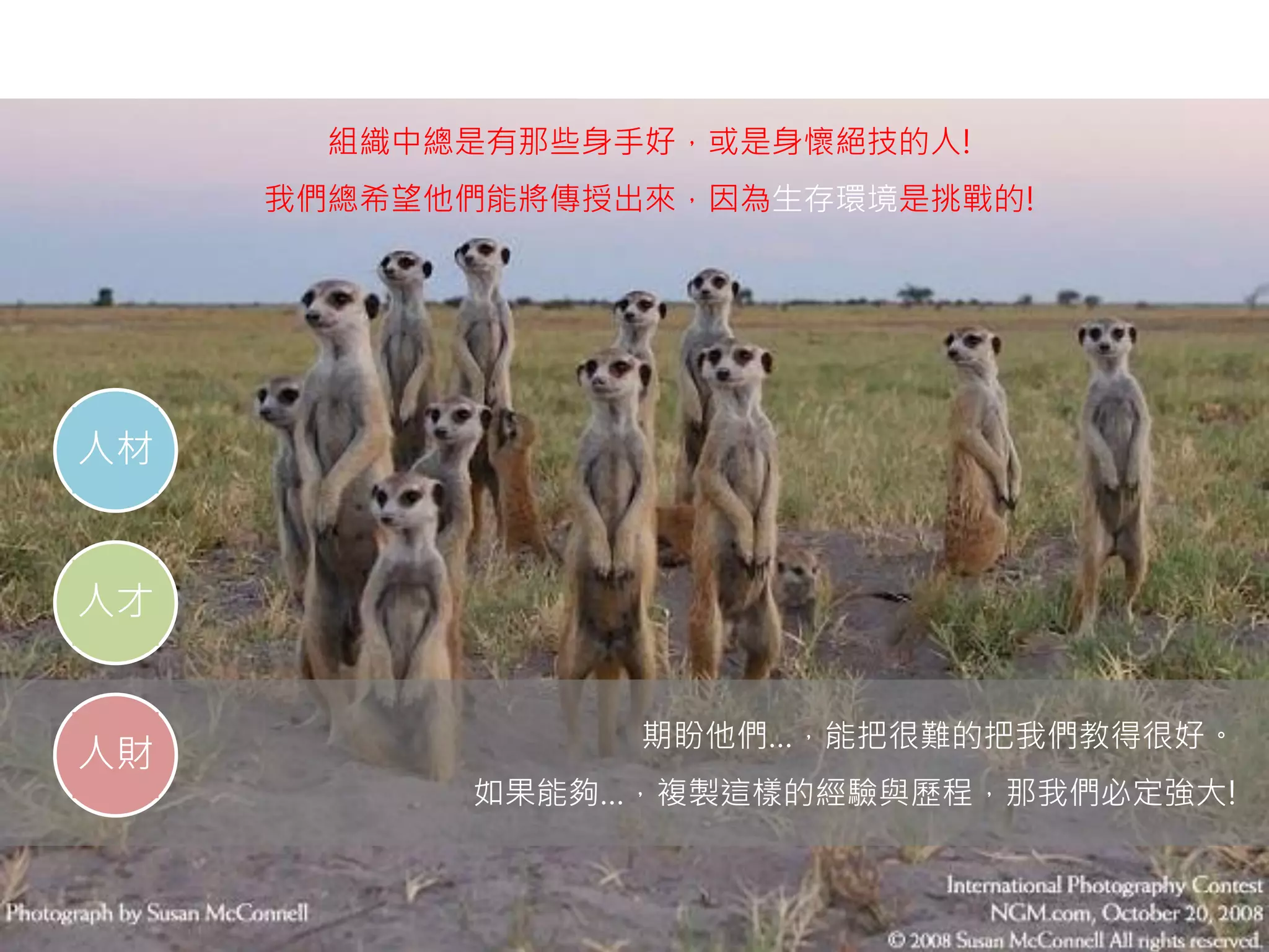 140
整合學與教脈絡大數據應用的教育創新-以思翱倍力大數據服務為例，2016數位學習學術研討會：學習科技新趨勢（淡江大學，
2016/5/20）
 