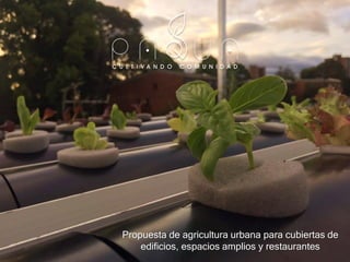 Propuesta de agricultura urbana para cubiertas de
edificios, espacios amplios y restaurantes
 