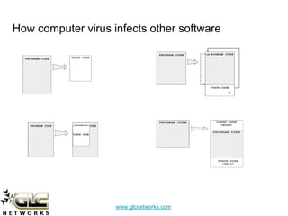 www.glcnetworks.com
How computer virus infects other software
 