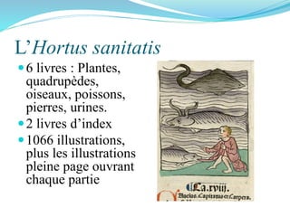 L’Hortus sanitatis
6 livres : Plantes,
quadrupèdes,
oiseaux, poissons,
pierres, urines.
2 livres d’index
1066 illustrat...