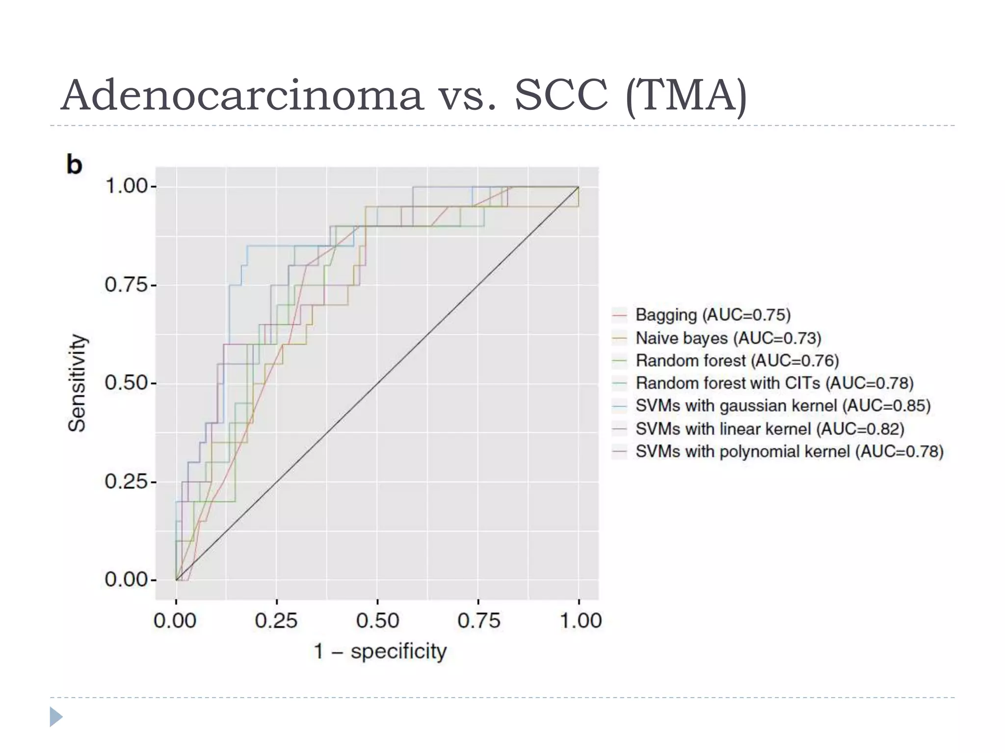 Adenocarcinoma vs. SCC (TMA)