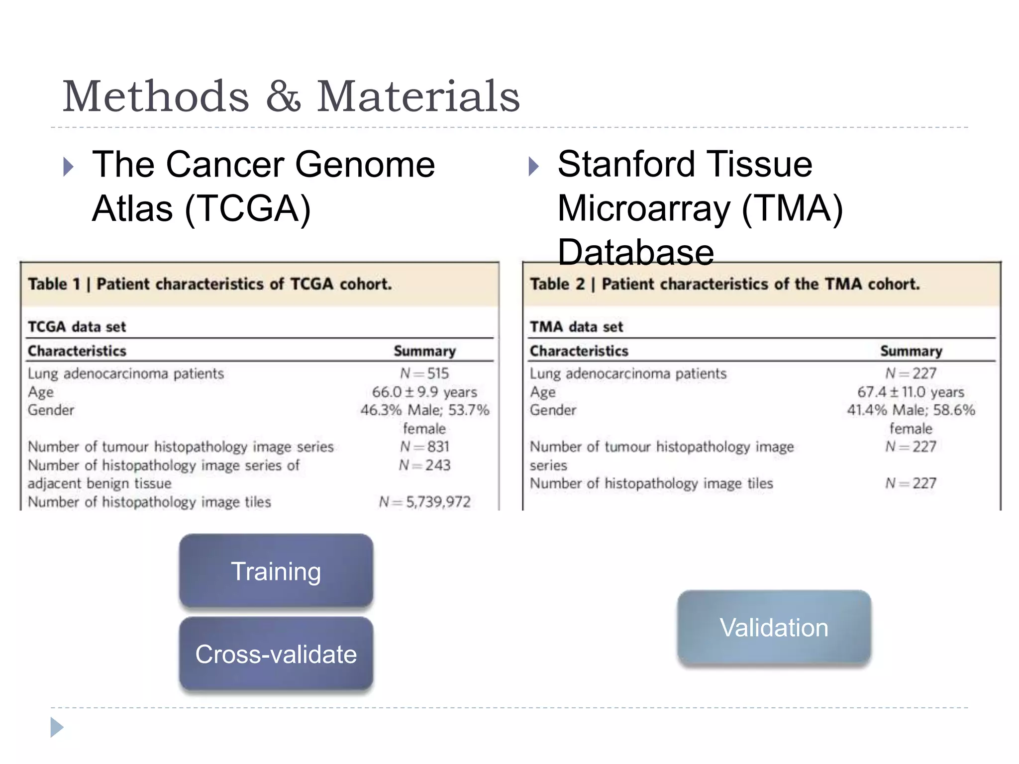 Training
Validation
Methods & Materials
The Cancer Genome
Atlas (TCGA)
Stanford Tissue
Microarray (TMA)
Database
Cross-validate