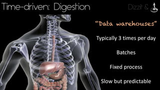 Dizzit &Time-driven: Digestion
“Data warehouses”
Typically	3	times	per	day
Batches
Fixed	process
Slow	but	predictable
 
