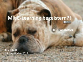 Mit E-Learning begeistern?!
Dr. Elke Höfler
Eisenstadt
15. September 2016
Photo credit: Pixabay (CC0)