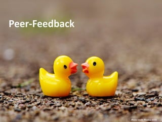 Peer-Feedback
Photo credit: Pixabay (CC0)