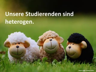 Unsere Studierenden sind
heterogen.
Photo credit: Pixabay (CC0)