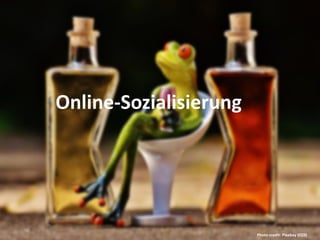 Online-Sozialisierung
Photo credit: Pixabay (CC0)