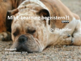 Mit E-Learning begeistern?!
Dr. Elke Höfler
Eisenstadt
15. September 2016
Photo credit: Pixabay (CC0)
 