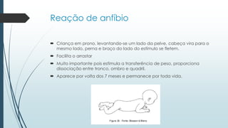 Reação de anfíbio
 Criança em prono, levantando-se um lado da pelve, cabeça vira para o
mesmo lado, perna e braço do lado do estímulo se fletem.
 Facilita o arrastar
 Muito importante pois estimula a transferência de peso, proporciona
dissociação entre tronco, ombro e quadril.
 Aparece por volta dos 7 meses e permanece por toda vida.
 