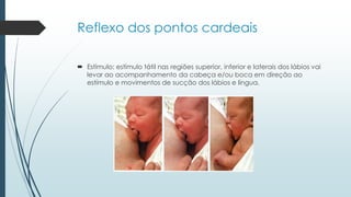 Reflexo dos pontos cardeais
 Estímulo: estímulo tátil nas regiões superior, inferior e laterais dos lábios vai
levar ao acompanhamento da cabeça e/ou boca em direção ao
estímulo e movimentos de sucção dos lábios e língua.
 