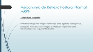 Mecanismo de Reflexo Postural Normal
MRPN
2. Inervação Recíproca
Permite que haja uma relação harmônica entre agonista e antagonista.
Sinergismo muscular, co-contração e estabilização proximal para
movimentação do seguimento distal!!!!
 