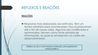 REFLEXOS E REAÇÕES
REAÇÕES
 Respostas mais elaboradas aos estímulos. Têm um
tempo refratário para acontecerem. Nos acompanham
até o fim de nossas vidas. Algumas são modificadas e
aprimoradas. Servem como fonte primária de
informações, as quais se armazenam no córtex em
desenvolvimento.
Reflexo se dá a nível medular e Reação, principalmente,
mesencefálico.
 