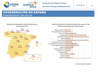 Fundación Gas Natural Fenosa
Seminario Energía y Medioambiente
19.09.2016 19
COGENERACIÓN EN ESPAÑA
Caracterización del pa...