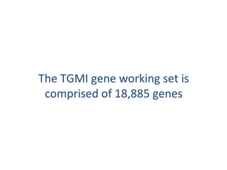 The TGMI gene working set is
comprised of 18,885 genes
 