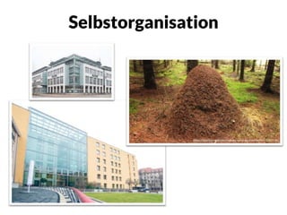 Selbstorganisation
https://pixabay.com/de/insekten-wald-ameisenhaufen-1033718/
 