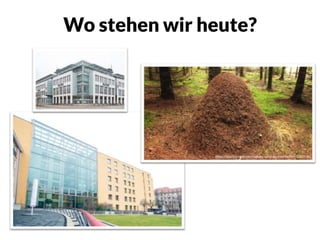 Wo stehen wir heute?
https://pixabay.com/de/insekten-wald-ameisenhaufen-1033718/
 