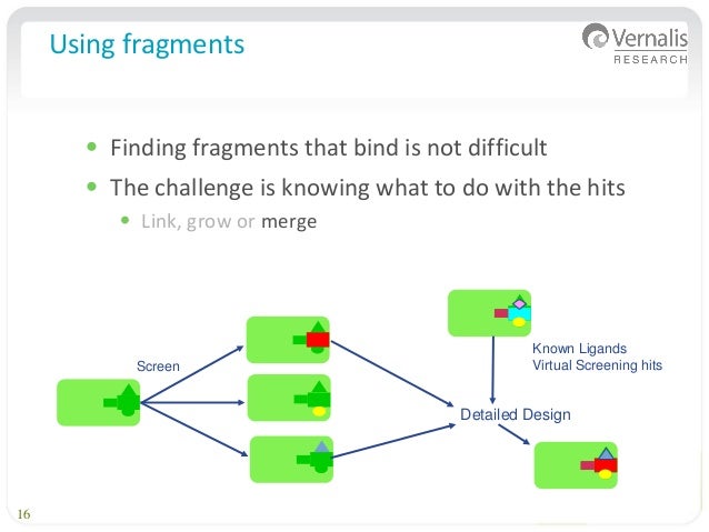 fragment synonym biology