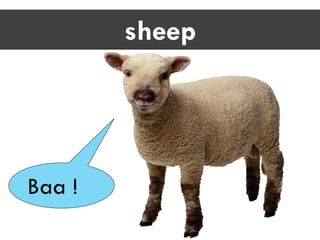 sheep
Baa !
 