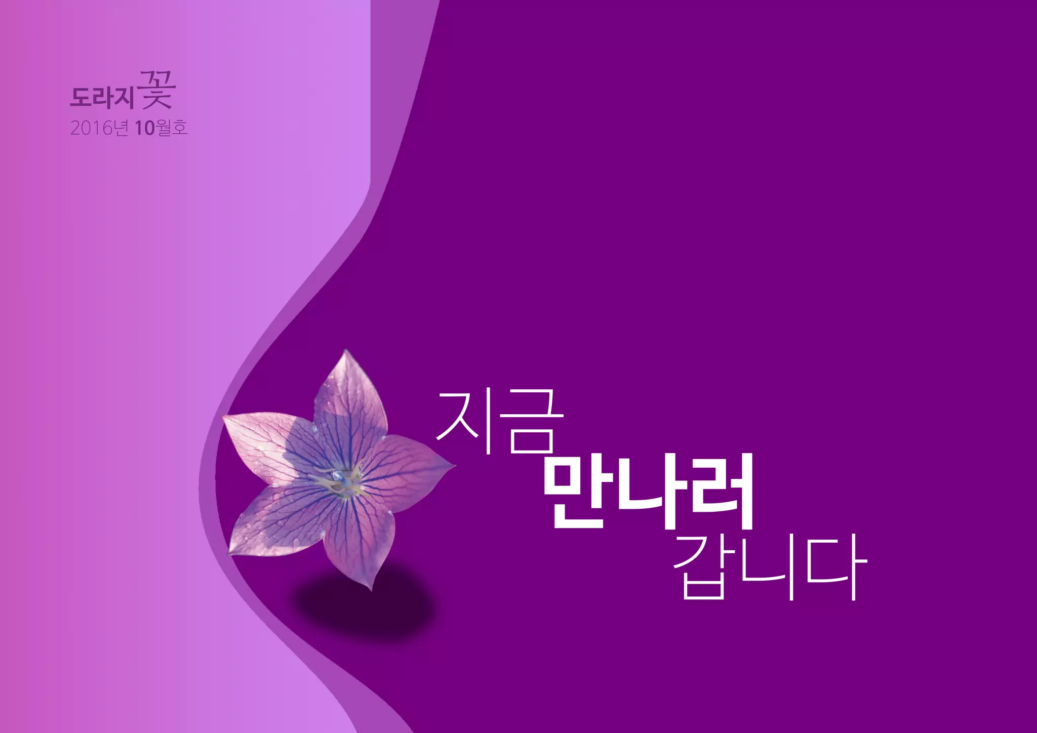 23
도라지꽃 2016년 10월호
지금
만나러
갑니다
도라지꽃
2016년 10월호
 