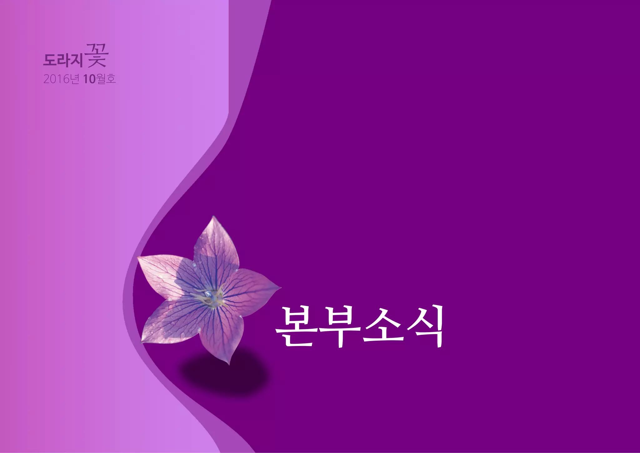 본부소식
도라지꽃
2016년 10월호
 