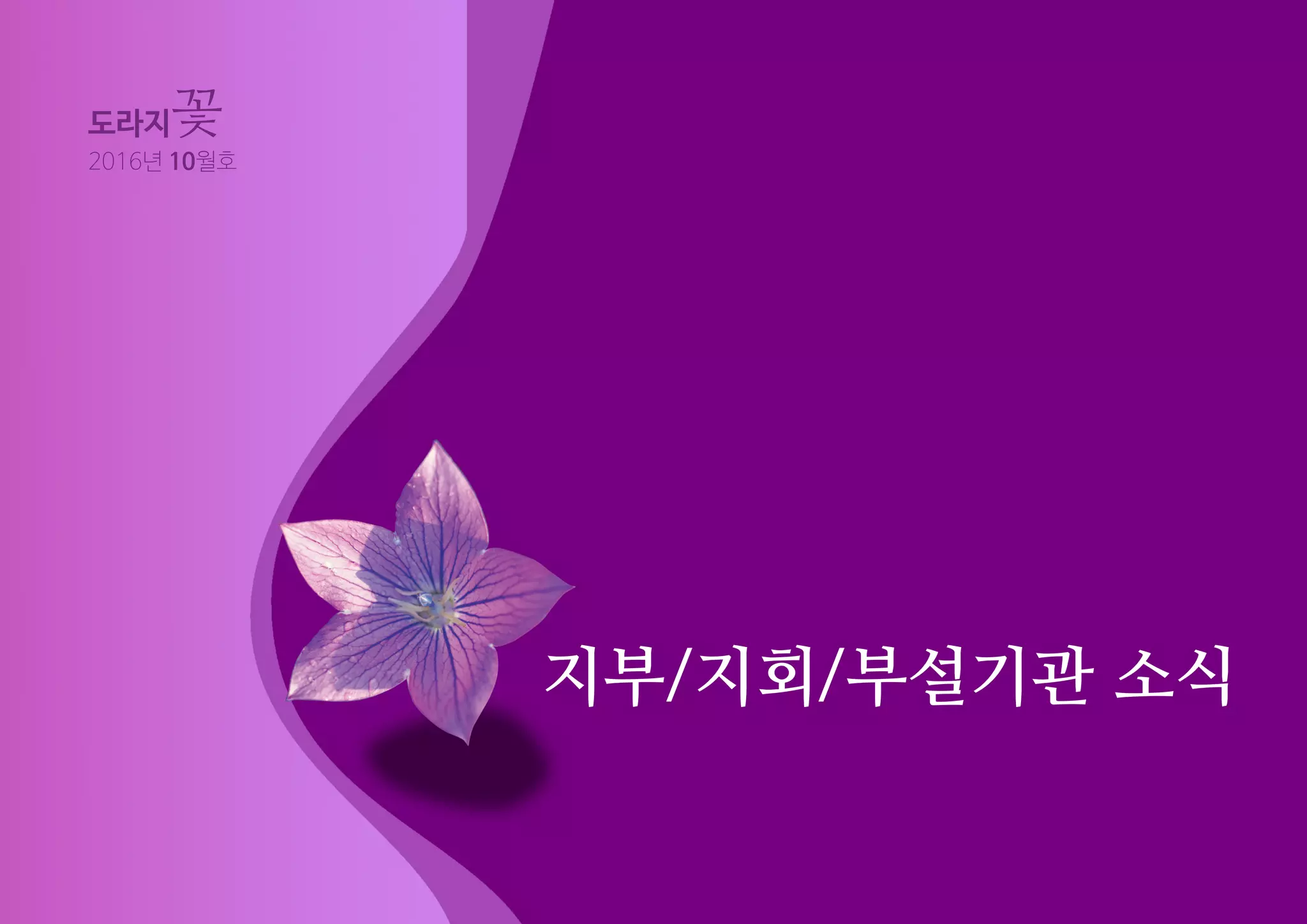 지부/지회/부설기관 소식
도라지꽃
2016년 10월호
 