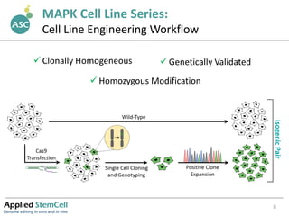 8
MAPK Cell Line Series:
Cell Line Engineering Workflow
 Clonally Homogeneous  Genetically Validated
 Homozygous Modifi...