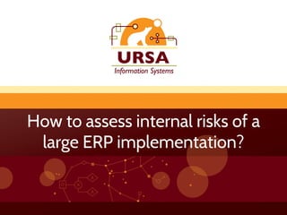 How to assess internal risks of a
large ERP implementation?
 