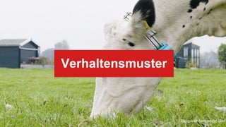 Verhaltensmuster
Bildquelle: fastcoexist.com
 