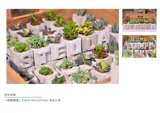 Ʒ
ýwٛY Stella McCartney С
 