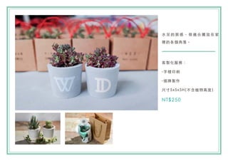 ˮ   |   m  [   
eĸ
u
-֘ӡˢ
-u
ߴ5x5x5H(ֲ߶)
NT$250
 