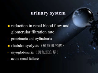 urinary system
 reduction in renal blood flow and
glomerular filtration rate
• proteinuria and cylindruria
 rhabdomyolysis（横纹肌溶解）
• myoglobinuria（肌红蛋白尿）
• acute renal failure
 