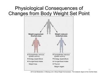 Physiological Consequences of
Changes from Body Weight Set Point
13
2014 Cell Metabolism. A Missing Link in Body Weight Homeostasis - The Catabolic Signal of the Overfed State
 