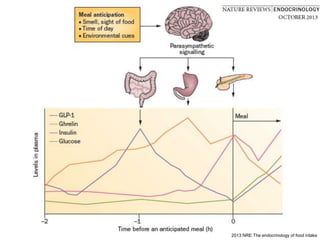 2013 NRE The endocrinology of food intake
 