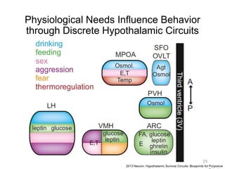 Physiological Needs Influence Behavior
through Discrete Hypothalamic Circuits
2013 Neuron. Hypothalamic Survival Circuits- Blueprints for Purposive
23
 