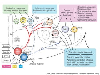 2008 Obesity. Central and Peripheral Regulation of Food Intake and Physical Activity
 