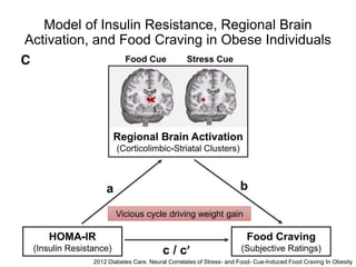 Model of Insulin Resistance, Regional Brain
Activation, and Food Craving in Obese Individuals
2012 Diabetes Care. Neural Correlates of Stress- and Food- Cue-Induced Food Craving In Obesity
Vicious cycle driving weight gain
 