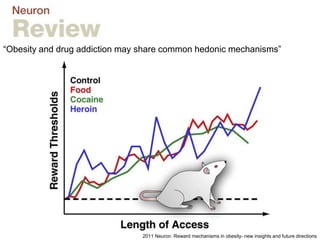 “Obesity and drug addiction may share common hedonic mechanisms”
2011 Neuron. Reward mechanisms in obesity- new insights and future directions
 