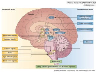 2013 Nature Reviews Endocrinology. The endocrinology of food intake
 