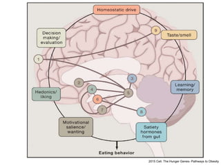 2015 Cell. The Hunger Genes- Pathways to Obesity
 