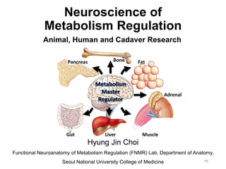 Neuroscience of
Metabolism Regulation
Hyung Jin Choi
Functional Neuroanatomy of Metabolism Regulation (FNMR) Lab, Department of Anatomy,
Seoul National University College of Medicine 75
Animal, Human and Cadaver Research
 