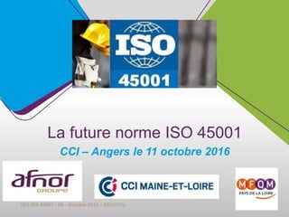1
La future norme ISO 45001
CCI – Angers le 11 octobre 2016
ISO DIS 45001 - V6 - Octobre 2016 – ERO/TCU
 