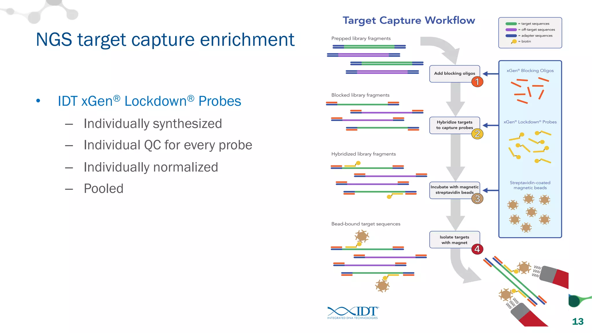 • IDT xGen® Lockdown® Probes
– Individually synthesized
– Individual QC for every probe
– Individually normalized
– Pooled
NGS target capture enrichment
13
 