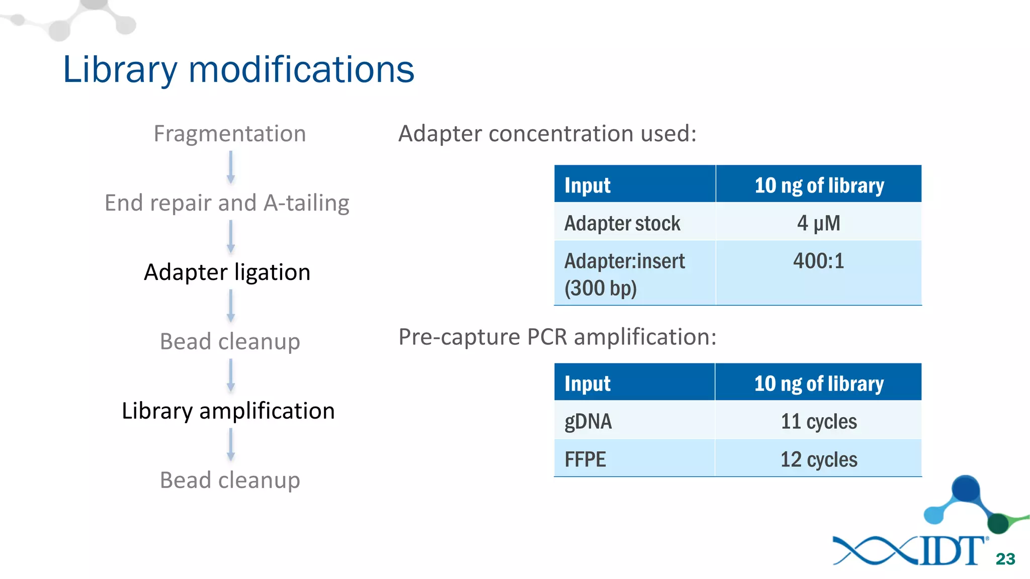 Library modifications
23
Input 10 ng of library
gDNA 11 cycles
FFPE 12 cycles
Pre-capture	PCR	amplification:
Input 10 ng of library
Adapter stock 4 µM
Adapter:insert
(300 bp)
400:1
Adapter	concentration	used:Fragmentation
End	repair	and	A-tailing
Adapter	ligation
Bead	cleanup
Library	amplification
Bead	cleanup
 