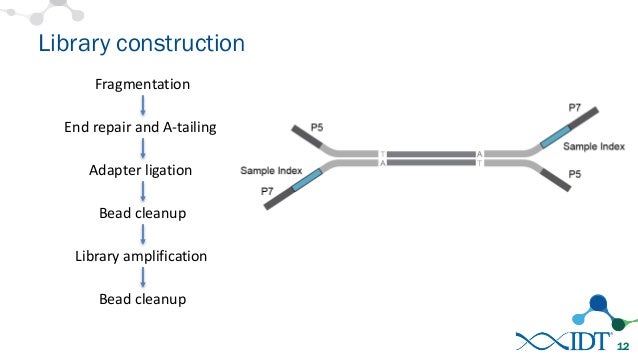 slideshare