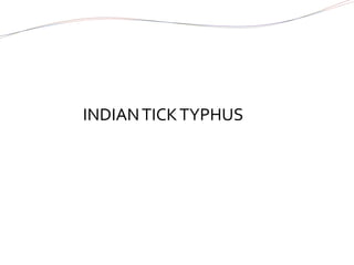 INDIANTICKTYPHUS