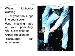 •Wear light-color
clothing
•Tuck your pants legs
into your socks
•Use masking tape
on your upper leg-
with sticky side up
•Apply repellant to
discourage tick
attachment.