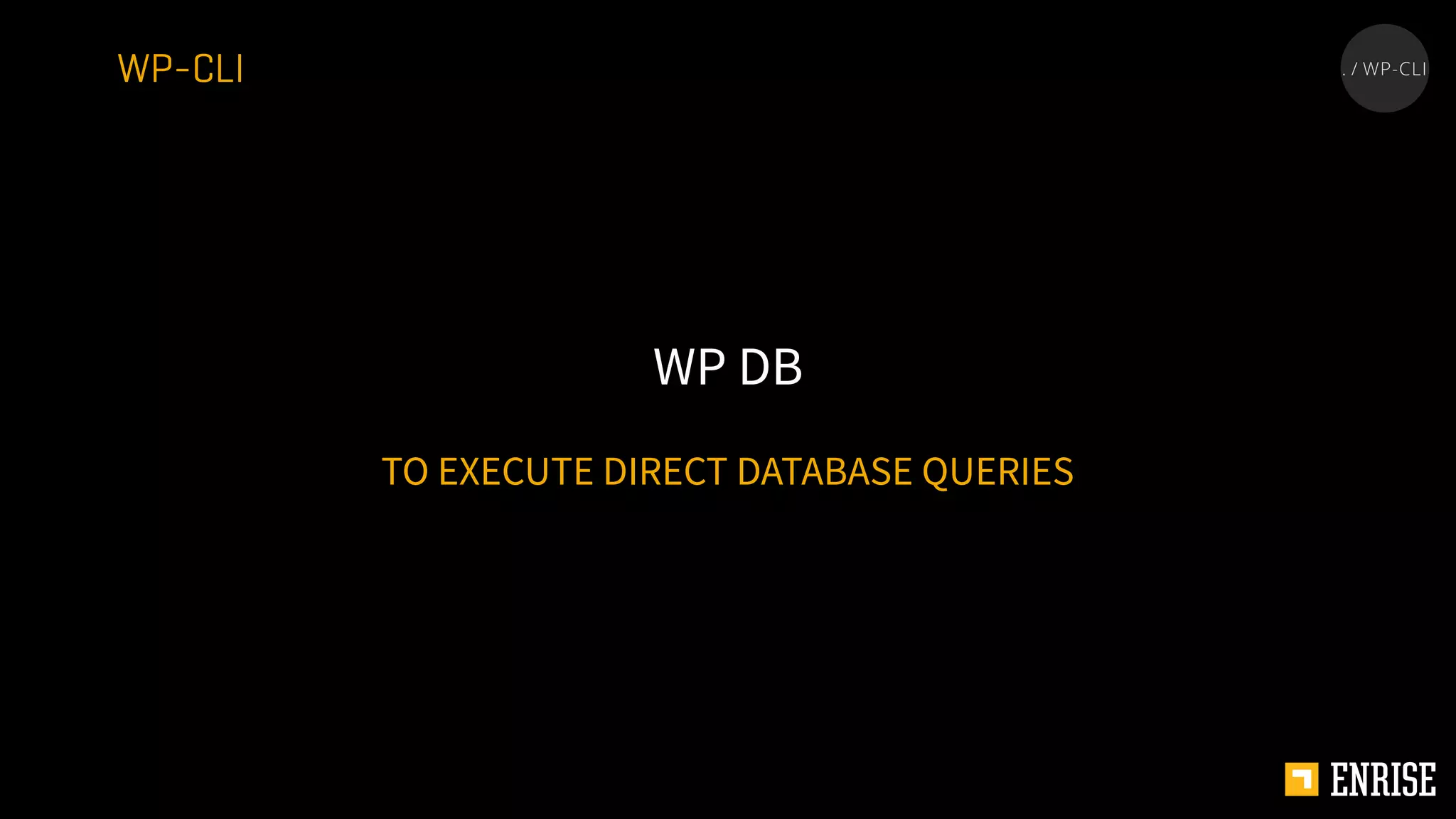TO EXECUTE DIRECT DATABASE QUERIES
WP DB
WP-CLI
 