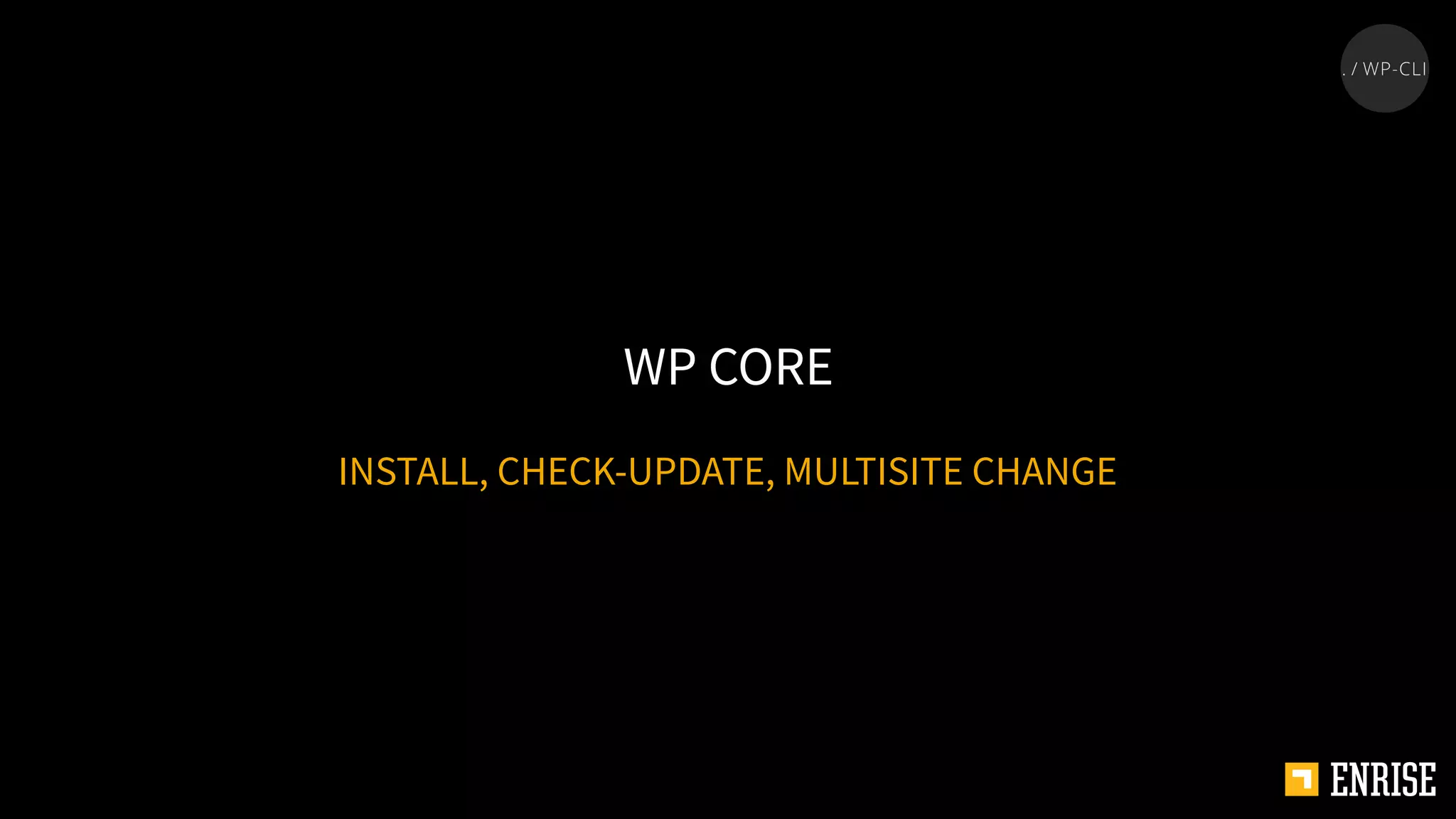 INSTALL, CHECK-UPDATE, MULTISITE CHANGE
WP CORE
 
